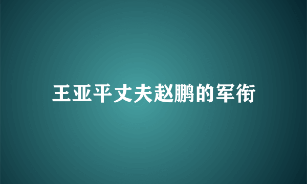 王亚平丈夫赵鹏的军衔