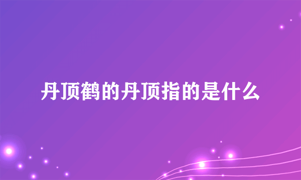 丹顶鹤的丹顶指的是什么