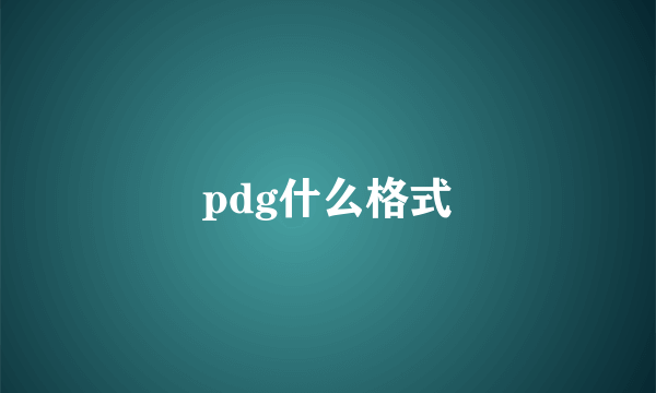 pdg什么格式