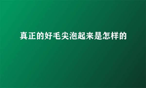 真正的好毛尖泡起来是怎样的