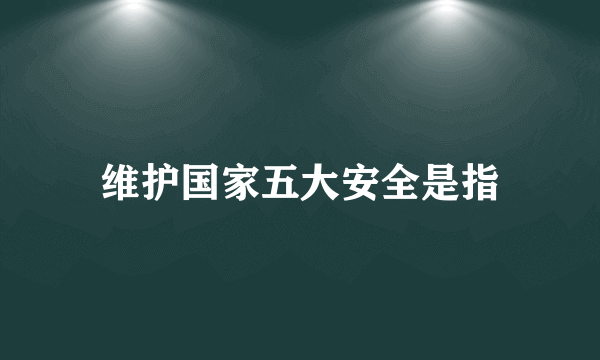 维护国家五大安全是指