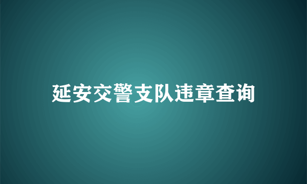 延安交警支队违章查询