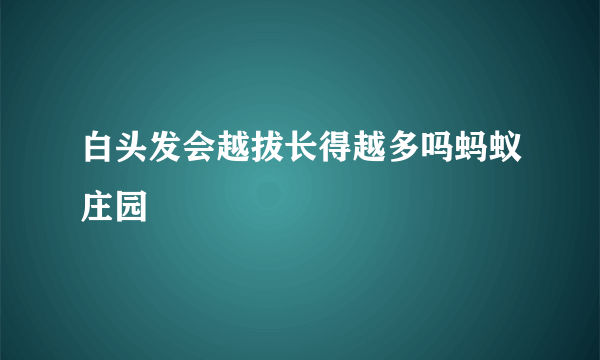 白头发会越拔长得越多吗蚂蚁庄园