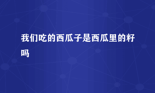 我们吃的西瓜子是西瓜里的籽吗