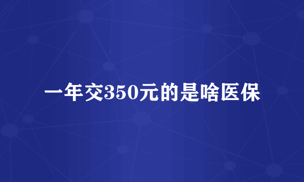 一年交350元的是啥医保