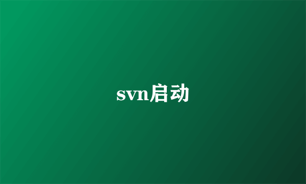 svn启动