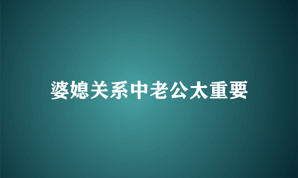 婆媳关系中老公太重要