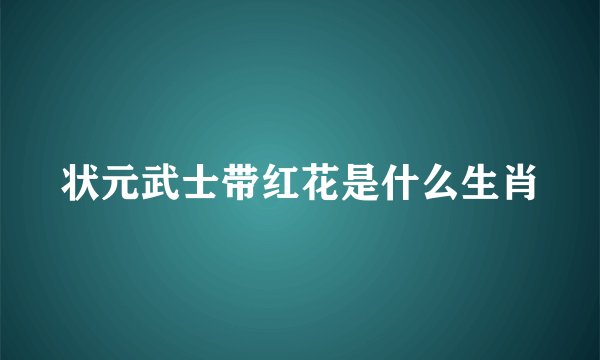 状元武士带红花是什么生肖