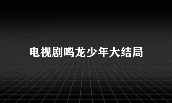 电视剧鸣龙少年大结局