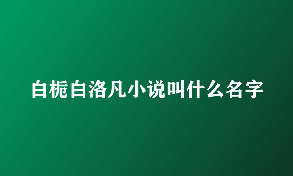 白栀白洛凡小说叫什么名字