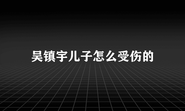 吴镇宇儿子怎么受伤的