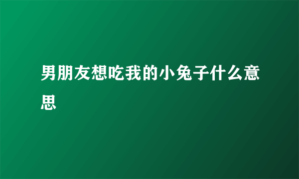 男朋友想吃我的小兔子什么意思