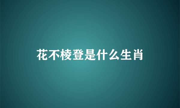 花不棱登是什么生肖