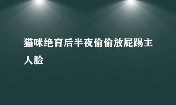 猫咪绝育后半夜偷偷放屁踢主人脸