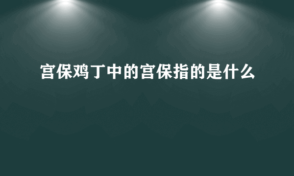 宫保鸡丁中的宫保指的是什么