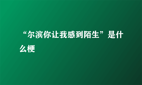 “尔滨你让我感到陌生”是什么梗