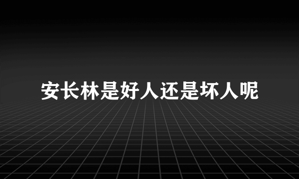 安长林是好人还是坏人呢