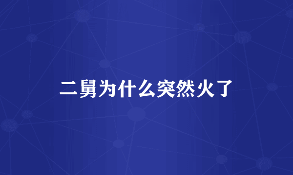 二舅为什么突然火了