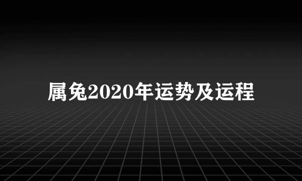 属兔2020年运势及运程