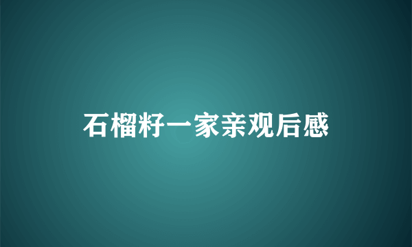 石榴籽一家亲观后感