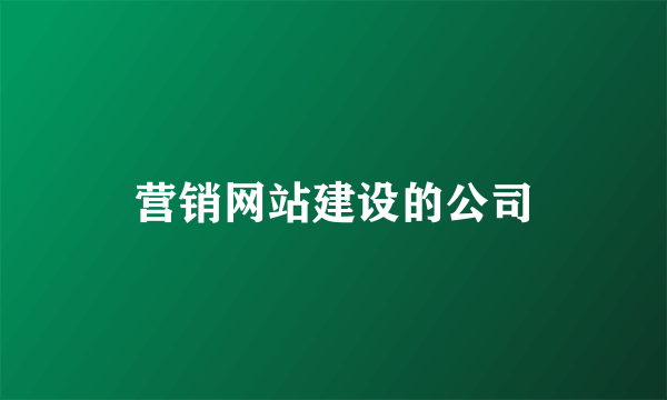 营销网站建设的公司