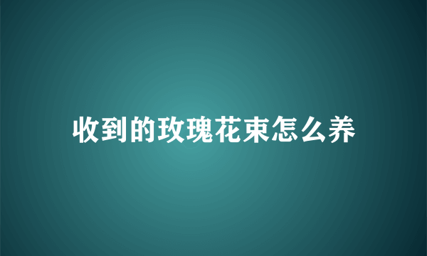 收到的玫瑰花束怎么养