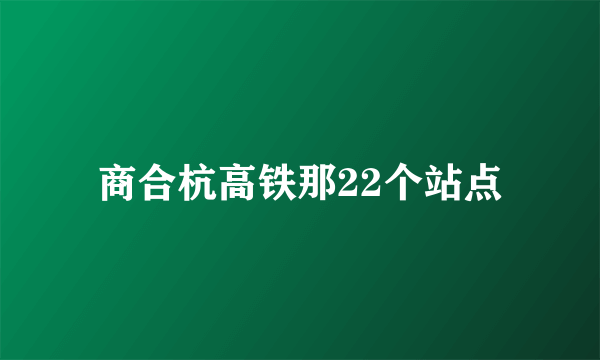 商合杭高铁那22个站点