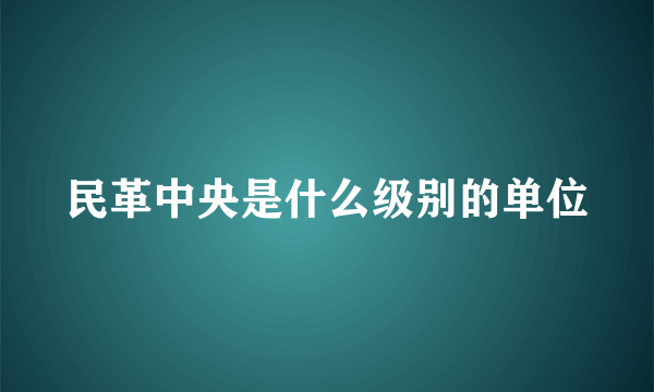 民革中央是什么级别的单位