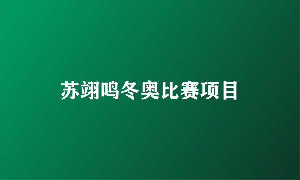 苏翊鸣冬奥比赛项目