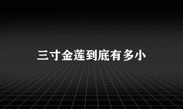 三寸金莲到底有多小