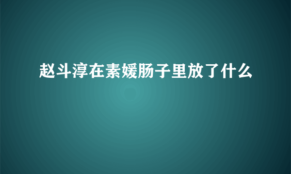 赵斗淳在素媛肠子里放了什么