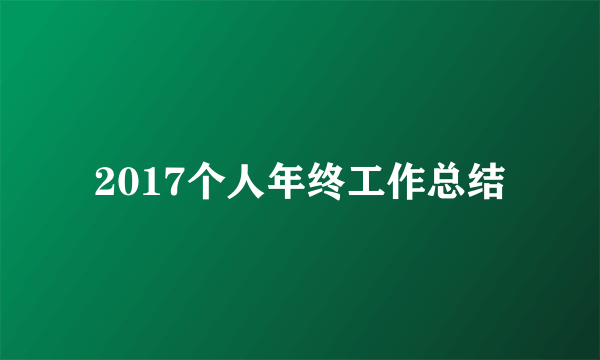 2017个人年终工作总结