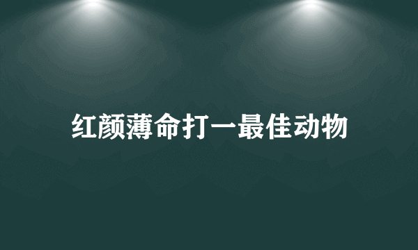 红颜薄命打一最佳动物