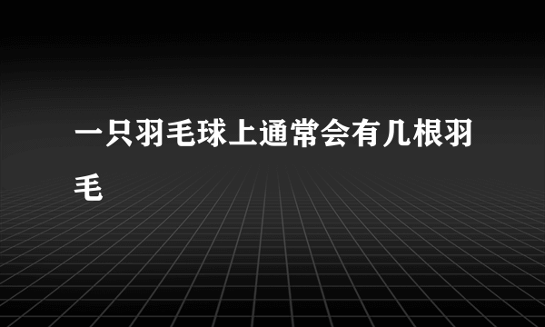 一只羽毛球上通常会有几根羽毛