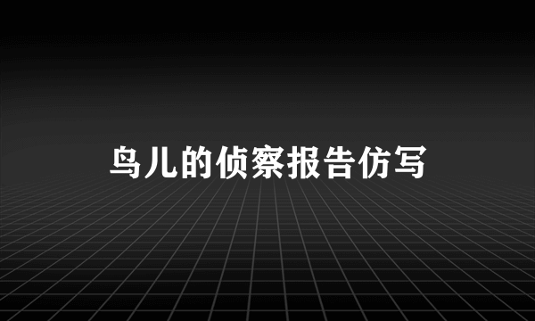 鸟儿的侦察报告仿写