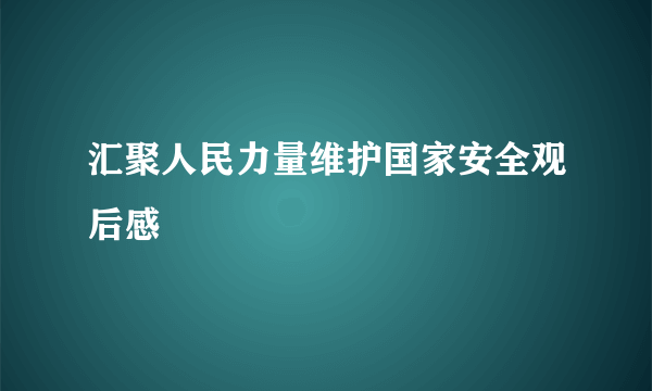 汇聚人民力量维护国家安全观后感