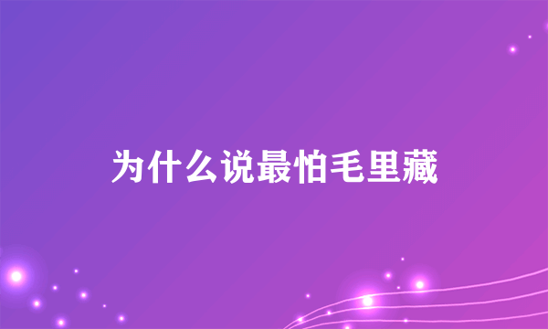 为什么说最怕毛里藏