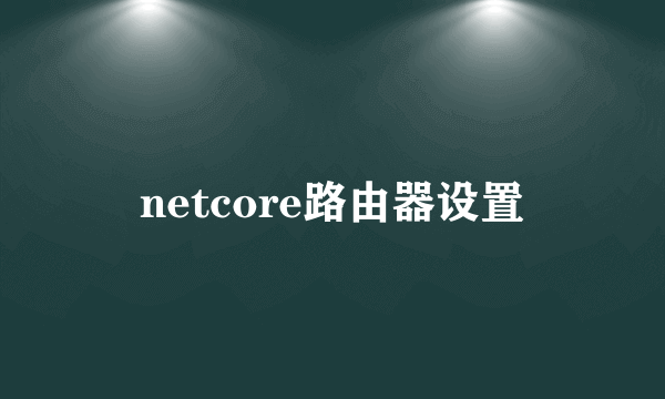 netcore路由器设置