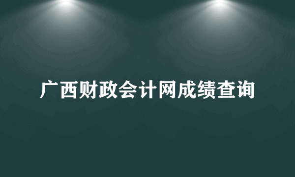 广西财政会计网成绩查询