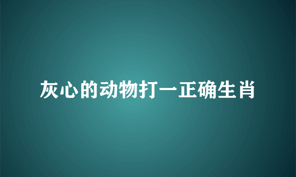 灰心的动物打一正确生肖