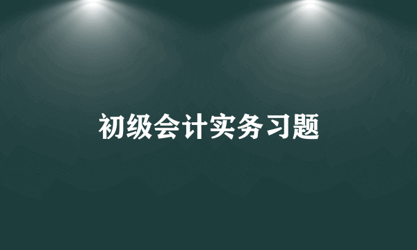 初级会计实务习题