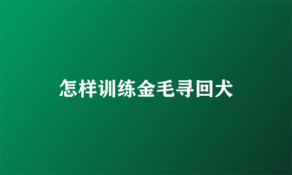 怎样训练金毛寻回犬