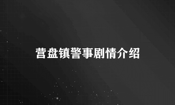 营盘镇警事剧情介绍