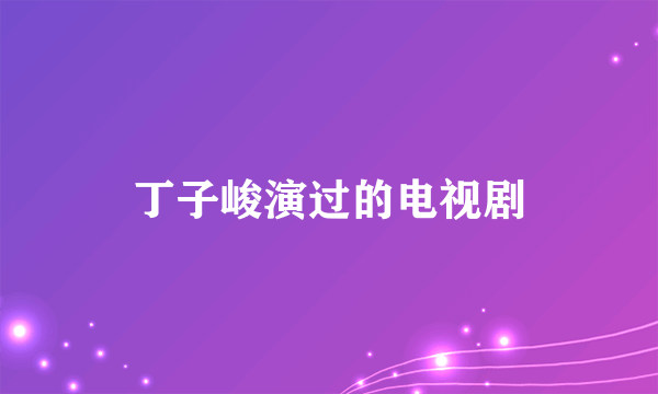 丁子峻演过的电视剧