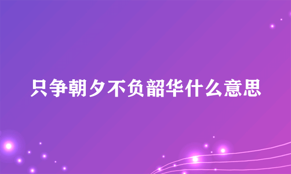 只争朝夕不负韶华什么意思