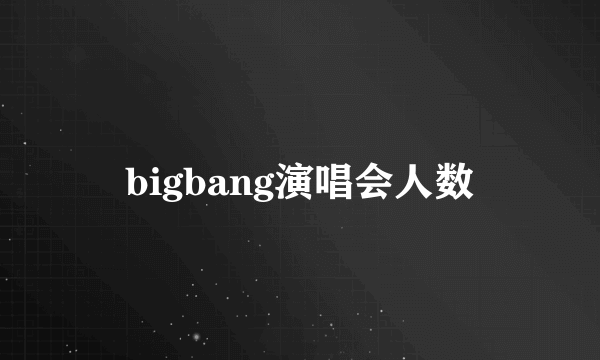 bigbang演唱会人数