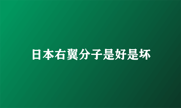 日本右翼分子是好是坏