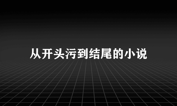 从开头污到结尾的小说