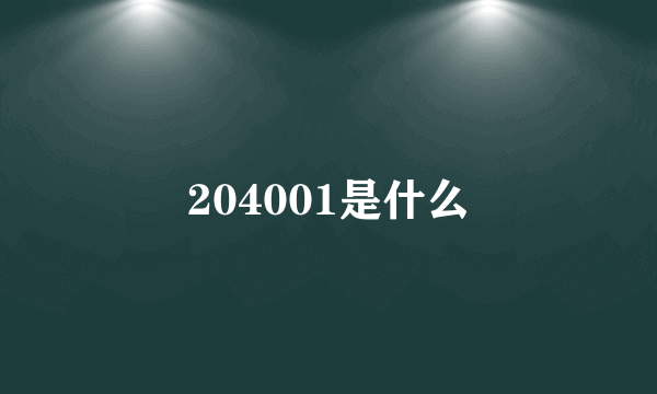 204001是什么