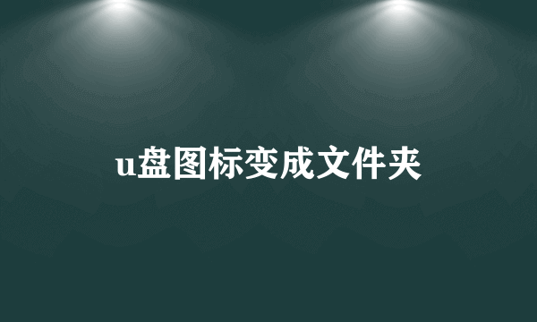 u盘图标变成文件夹